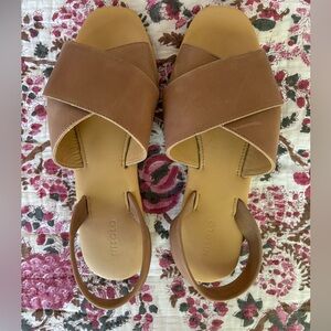 Nisolo Women's All Day Cross Strap Sandals Brown 8.5